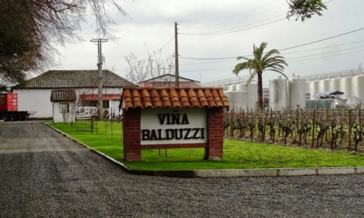 balduzzi-1-1200x720.jpeg
