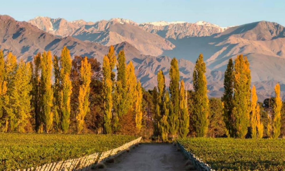 terrazas-de-los-andes-1-1200x720.jpeg